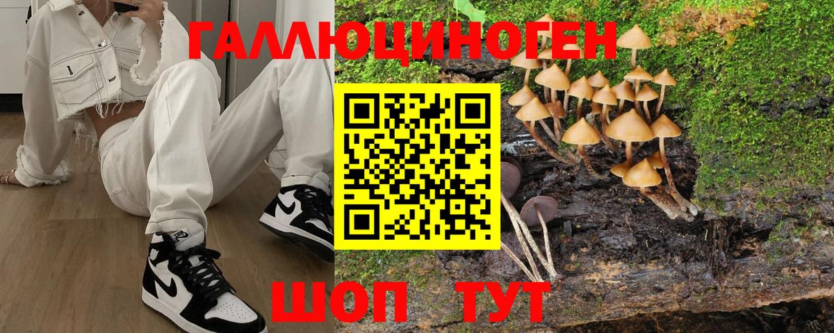 Псилоцибиновые грибы Psilocybine cubensis Лысьва