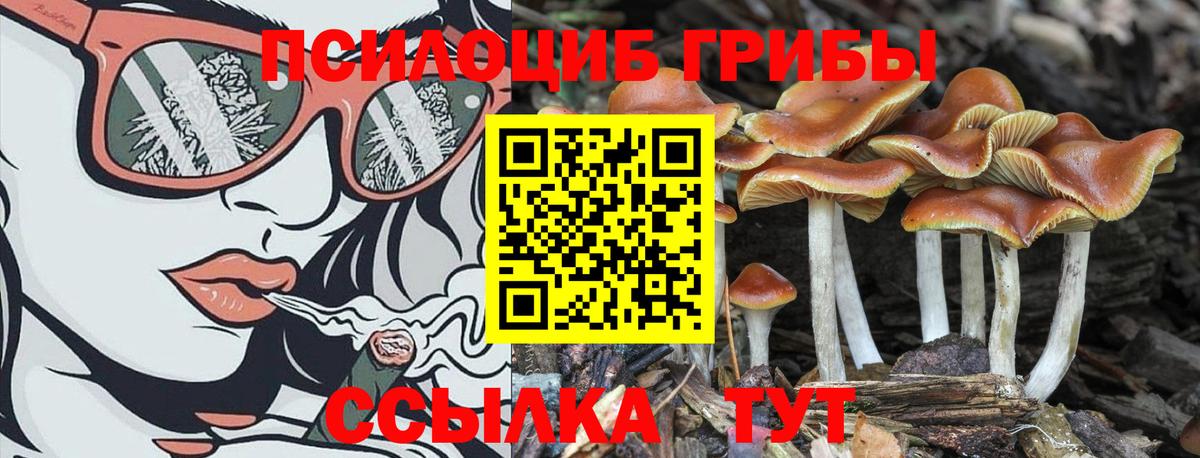 Лысьва  Галлюциногенные грибы Magic Shrooms  купить наркотики сайты  Вход с VPN 
